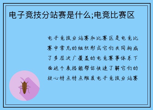 电子竞技分站赛是什么;电竞比赛区